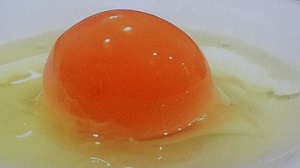 【人生レシピ 冷凍調理】冷凍卵の黄身しょうゆ漬けのレシピ！冷凍王子こと西川剛史