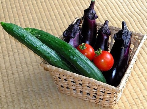 【ハナタカ】野菜ソムリエプロ高校生が教える野菜の目利き、保存方法