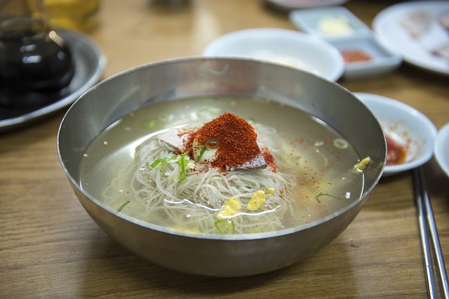 【YOUは何しに日本へ】北朝鮮料理店「ソルヌン」千葉!脱北女性のレストラン